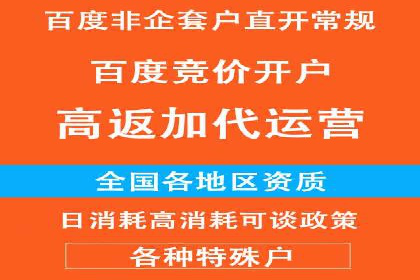 百度推广费用策略在竞争激烈市场的应用案例